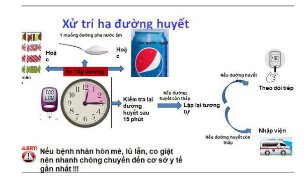 XỬ TRÍ HẠ ĐƯỜNG HUYẾT Ở BỆNH NHÂN ĐÁI THÁO ĐƯỜNG